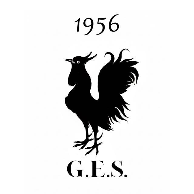 1956 Gerze Esnaf Veteran